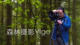 国足vs卡塔尔官方阵型图：张玉宁、韦世豪双箭头！